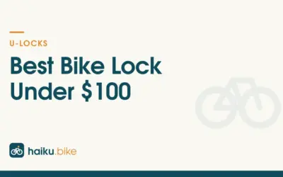 Best Bike Lock Under $100 of 2026: 1 Pick for City Riders