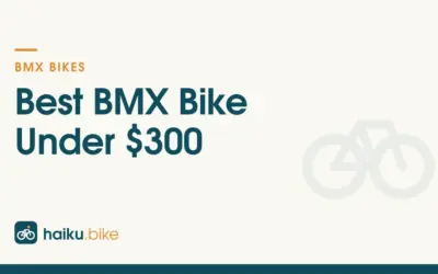 Best BMX Bike Under $300 of 2026: 3 Freestyle Options Compared