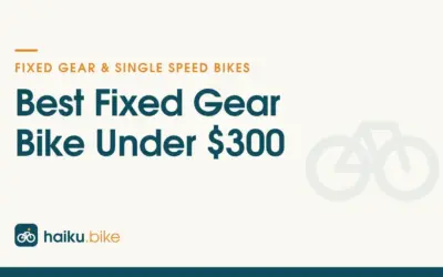 Best Fixed Gear Bike Under $300 for 2026: 2 Urban Options Compared