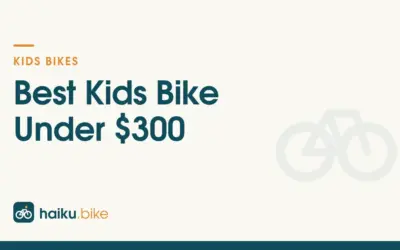 Best Kids Bike Under $300 for 2026: 2 Options Compared